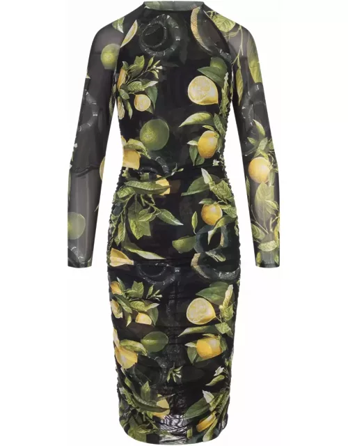 Roberto Cavalli Midi Black Stretch Dress With Lemons Print