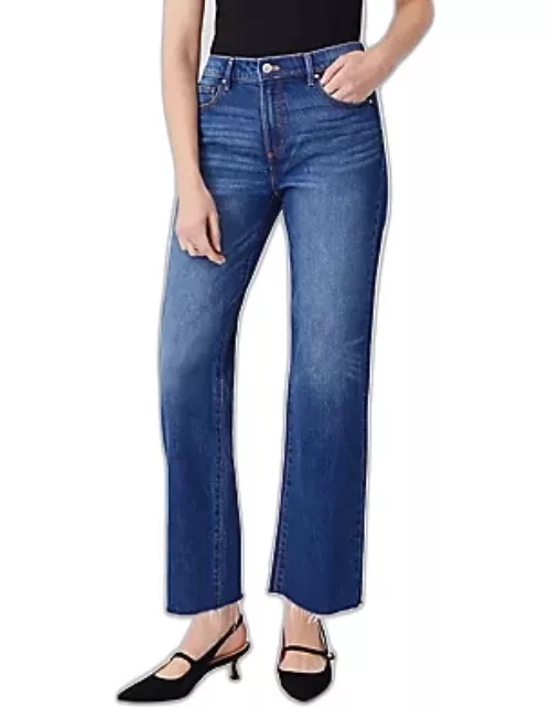 Ann Taylor Fresh Cut Mid Rise Straight Jeans in Dark Wash