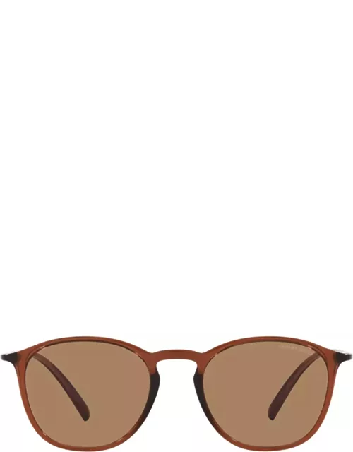 Giorgio Armani Ar8186u Transparent Brown Sunglasse