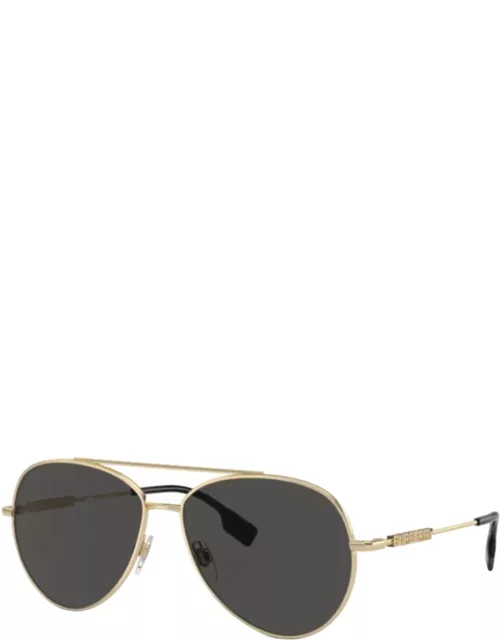Sunglasses 3147 SOLE