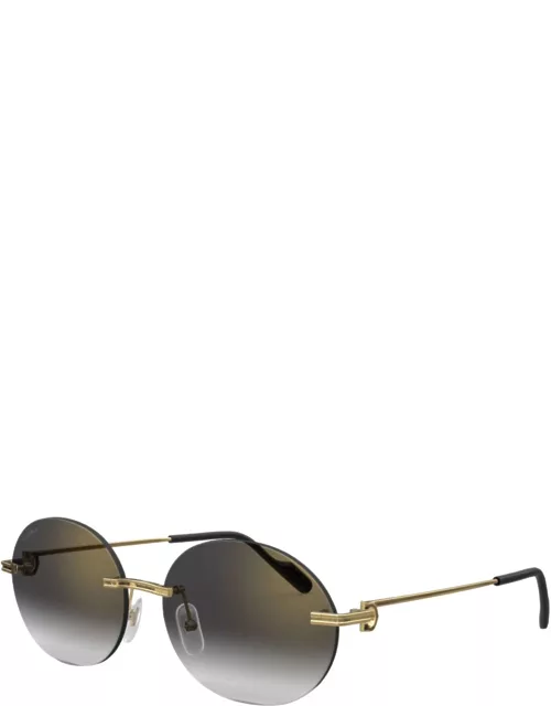 Sunglasses CT0011C