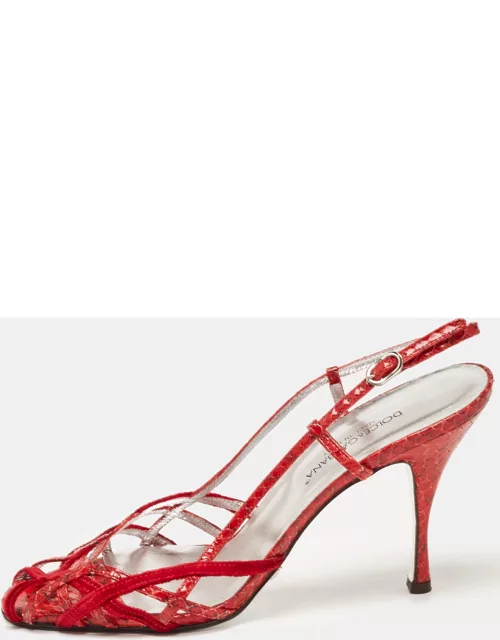 Dolce & Gabbana Red Python Leather Ankle Strap Sandal