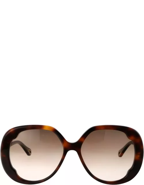 Chloé Eyewear Ch0195s Sunglasse
