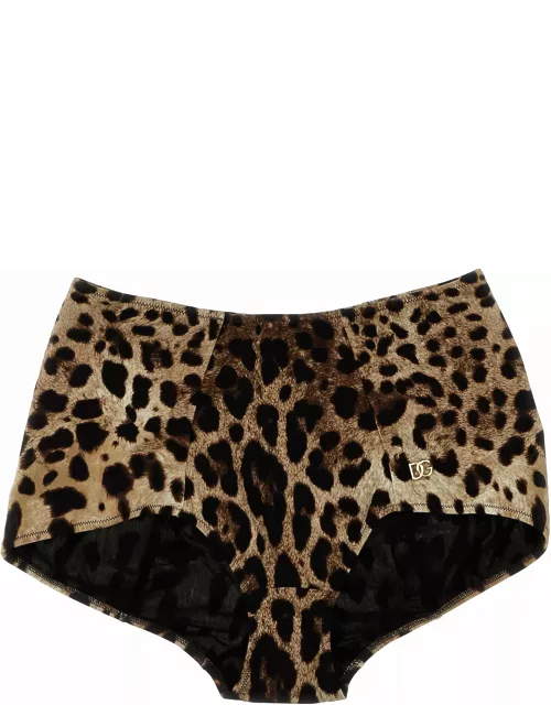 Dolce & Gabbana leopard Bikini Brief