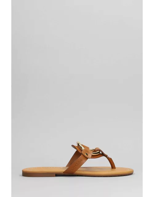 See by Chloé Hana Flats In Leather Color Leather