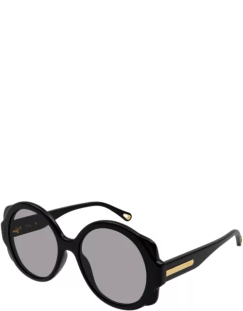 Sunglasses CH0120