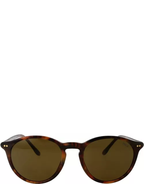 Polo Ralph Lauren Ph4193 Shiny Beige Tortoise Sunglasse