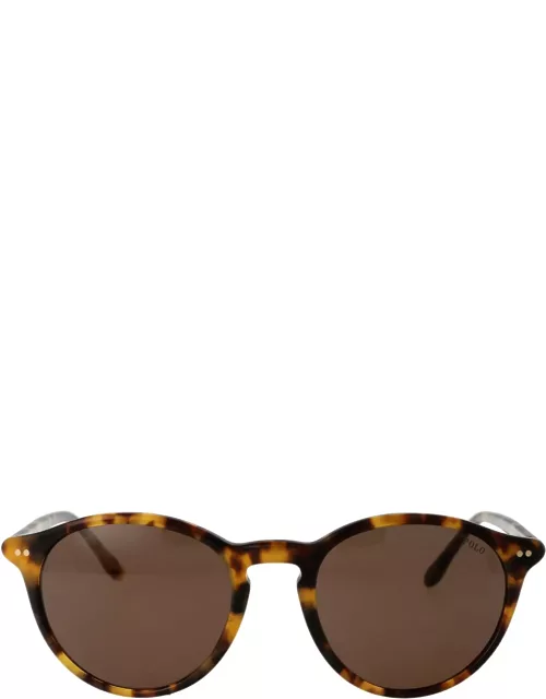 Polo Ralph Lauren 0ph4193 Sunglasse