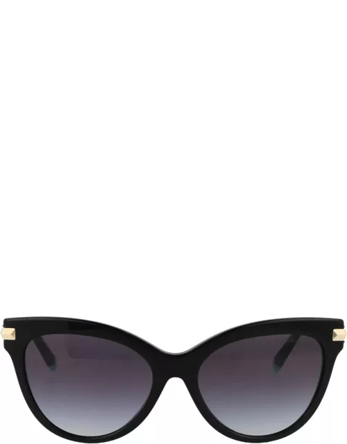 Tiffany & Co. 0tf4182 Sunglasse