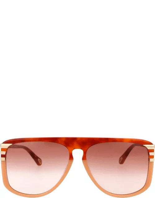 Chloé Eyewear Ch0104s Sunglasse