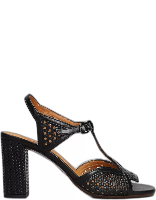 Chie Mihara Bessy Sandals In Black Leather