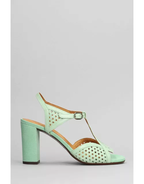 Chie Mihara Bessy Sandals In Green Leather