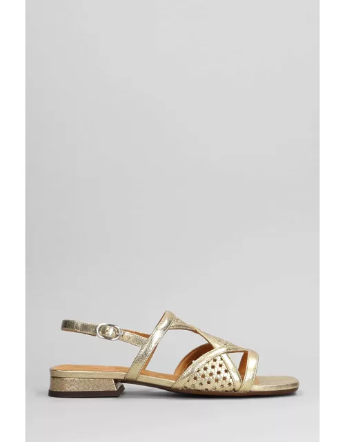 Chie Mihara Tassi Flats In Gold Leather