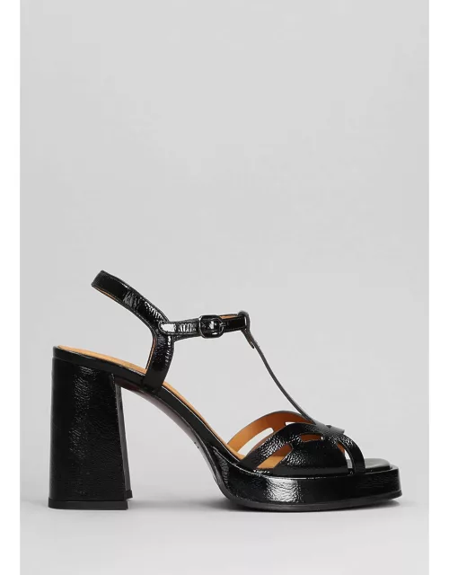 Chie Mihara Zinto Sandals In Black Leather