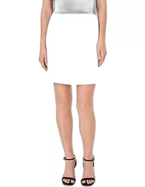 Ann Taylor Petite Tweed Framed A-Line Skirt