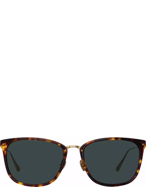 Cassin D-Frame Sunglasses in Tortoiseshel