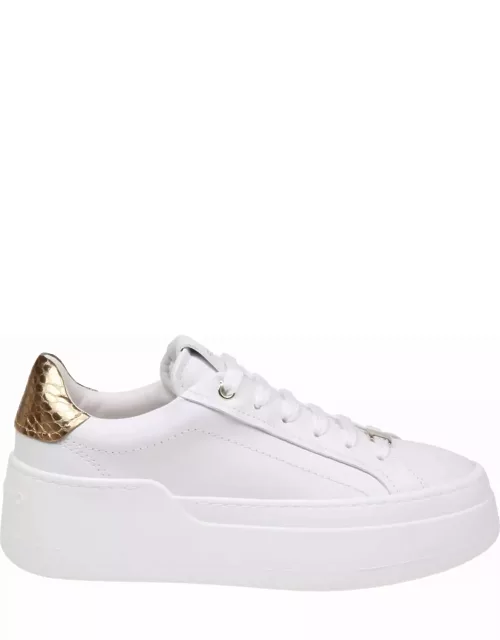 Ferragamo Dahlia Sneakers In White Leather
