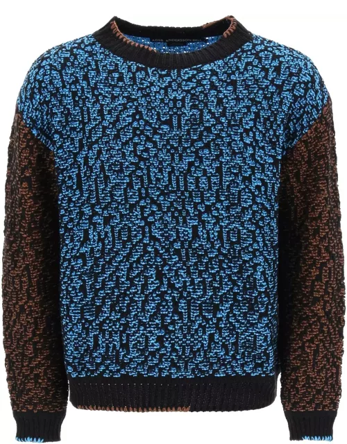 Andersson Bell Multicolored Net Cotton Blend Sweater