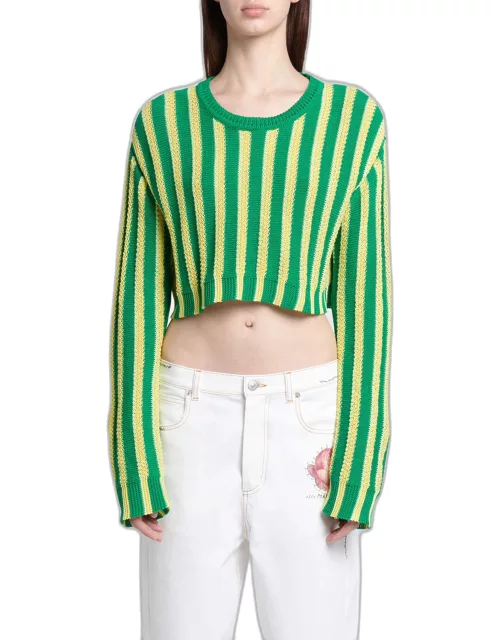 Striped Crewneck Crop Sweater